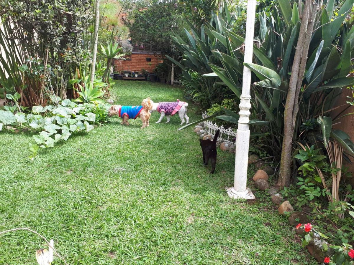 Suite Com Vista Da Serra Teresopolis Bagian luar foto